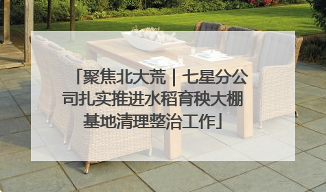 聚焦北大荒｜七星分公司扎实推进水稻育秧大棚基地清理整治工作