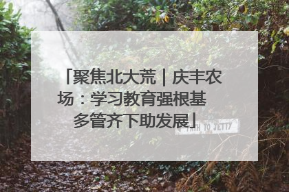 聚焦北大荒｜庆丰农场：学习教育强根基 多管齐下助发展