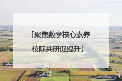 聚焦数学核心素养 校际共研促提升