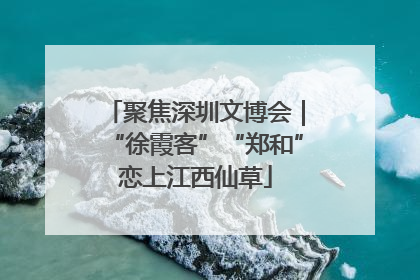 聚焦深圳文博会｜“徐霞客”“郑和”恋上江西仙草