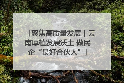 聚焦高质量发展｜云南厚植发展沃土 做民企“最好合伙人”