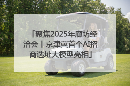 聚焦2025年廊坊经洽会丨京津冀首个AI招商选址大模型亮相
