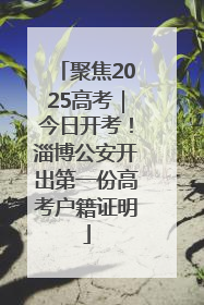 聚焦2025高考｜今日开考！淄博公安开出第一份高考户籍证明