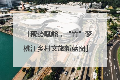 聚势赋能，“竹”梦桃江乡村文旅新蓝图