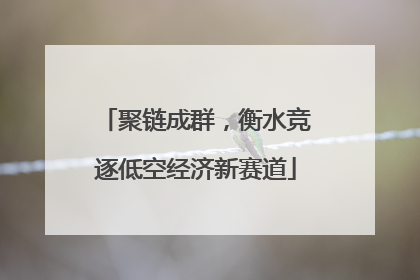 聚链成群，衡水竞逐低空经济新赛道