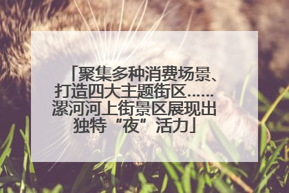 聚集多种消费场景、打造四大主题街区……漯河河上街景区展现出独特“夜”活力