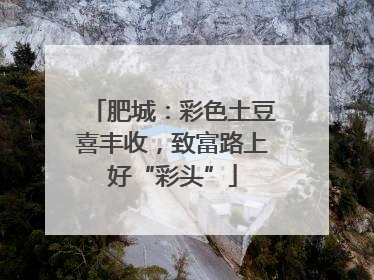 肥城：彩色土豆喜丰收，致富路上好“彩头”