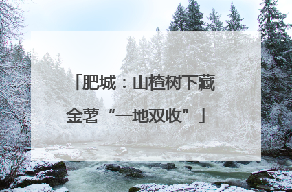 肥城：山楂树下藏金薯“一地双收”
