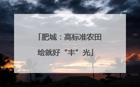 肥城：高标准农田绘就好“丰”光