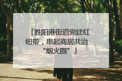 胜阳港街道党建红纽带，串起商居共治 “烟火圈”