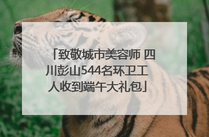 致敬城市美容师 四川彭山544名环卫工人收到端午大礼包