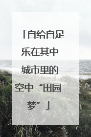 自给自足 乐在其中 城市里的空中“田园梦”