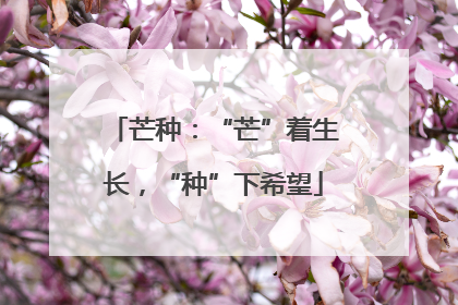 芒种：“芒”着生长，“种”下希望