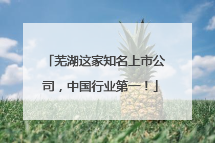 芜湖这家知名上市公司，中国行业第一！
