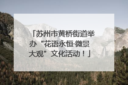 苏州市黄桥街道举办“花语永恒·微景大观”文化活动！