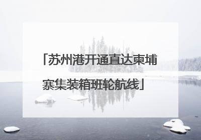 苏州港开通直达柬埔寨集装箱班轮航线