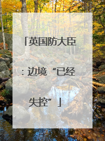 英国防大臣：边境“已经失控”