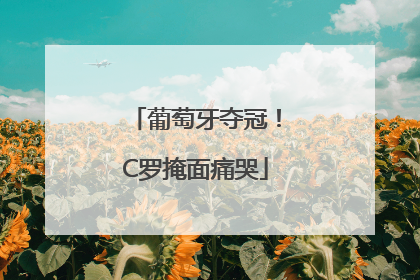 葡萄牙夺冠！C罗掩面痛哭