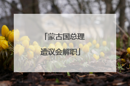 蒙古国总理遭议会解职