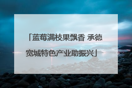 蓝莓满枝果飘香 承德宽城特色产业助振兴