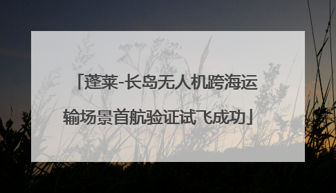 蓬莱-长岛无人机跨海运输场景首航验证试飞成功