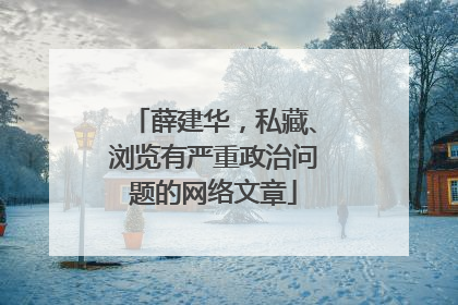 薛建华，私藏、浏览有严重政治问题的网络文章