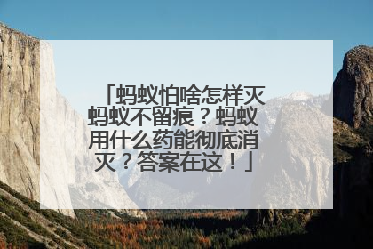 蚂蚁怕啥怎样灭蚂蚁不留痕？蚂蚁用什么药能彻底消灭？答案在这！