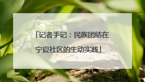 记者手记：民族团结在宁夏社区的生动实践