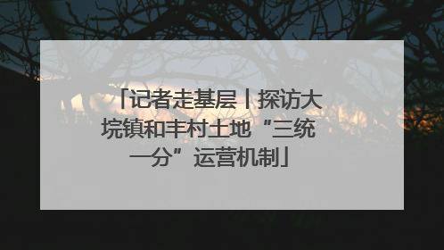 记者走基层丨探访大垸镇和丰村土地“三统一分”运营机制