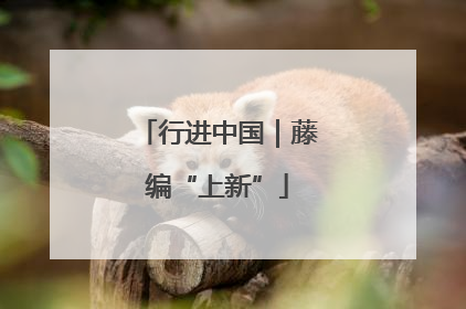 行进中国｜藤编“上新”