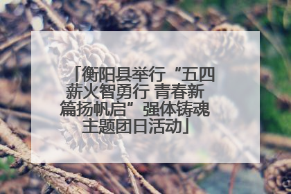 衡阳县举行“五四薪火智勇行 青春新篇扬帆启”强体铸魂主题团日活动