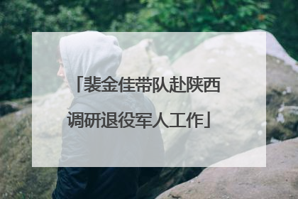 裴金佳带队赴陕西调研退役军人工作