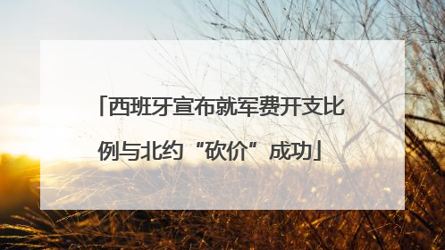 西班牙宣布就军费开支比例与北约“砍价”成功