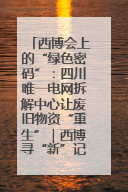 西博会上的“绿色密码”：四川唯一电网拆解中心让废旧物资“重生”｜西博寻“新”记
