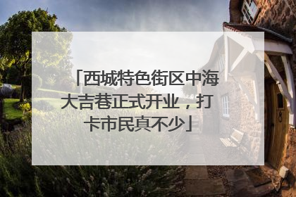 西城特色街区中海大吉巷正式开业，打卡市民真不少