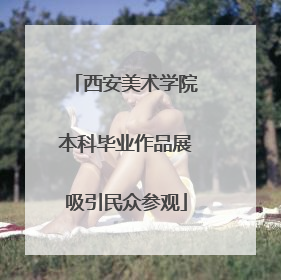 西安美术学院本科毕业作品展吸引民众参观