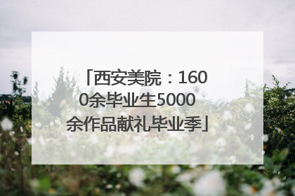 西安美院：1600余毕业生5000余作品献礼毕业季