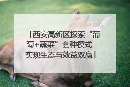 西安高新区探索“葡萄+蔬菜”套种模式 实现生态与效益双赢