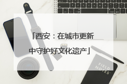 西安：在城市更新中守护好文化遗产