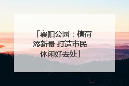 襄阳公园：植荷添新景 打造市民休闲好去处