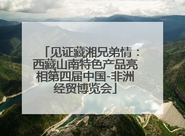 见证藏湘兄弟情：西藏山南特色产品亮相第四届中国-非洲经贸博览会