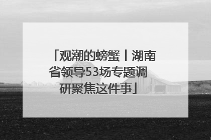 观潮的螃蟹丨湖南省领导53场专题调研聚焦这件事