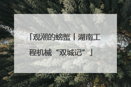 观潮的螃蟹丨湖南工程机械“双城记”