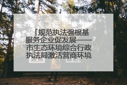 规范执法强根基 服务企业促发展——市生态环境综合行政执法局激活营商环境“绿色动能”
