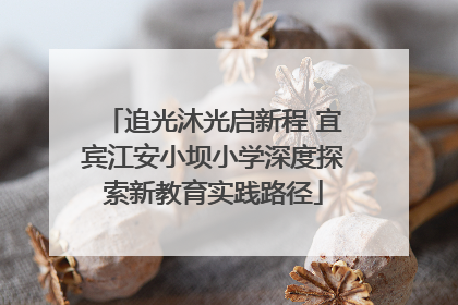 追光沐光启新程 宜宾江安小坝小学深度探索新教育实践路径