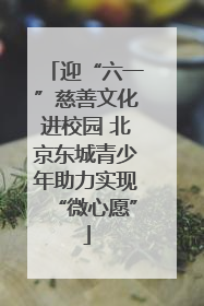 迎“六一”慈善文化进校园 北京东城青少年助力实现“微心愿”