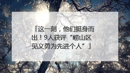 这一刻，他们挺身而出！9人获评“崂山区见义勇为先进个人”