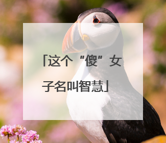 这个“傻”女子名叫智慧