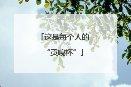 这是每个人的“贡嘎杯”