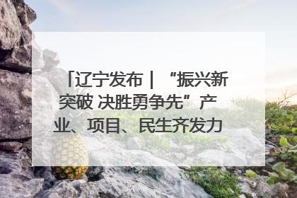 辽宁发布｜“振兴新突破 决胜勇争先”产业、项目、民生齐发力 葫芦岛按下决胜之年“加速键”